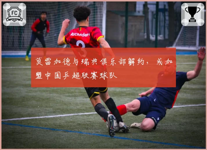 莫雷加德与瑞典俱乐部解约,或加盟中国乒超联赛球队