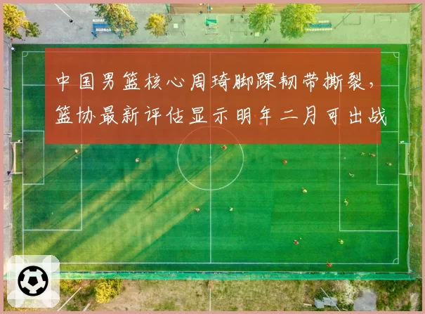 中国男篮核心周琦脚踝韧带撕裂,篮协最新评估显示明年二月可出战